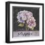 Flower Shop I-Patricia Pinto-Framed Art Print