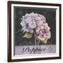 Flower Shop I-Patricia Pinto-Framed Art Print