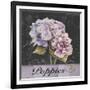 Flower Shop I-Patricia Pinto-Framed Art Print