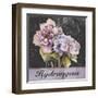 Flower Shop II-Patricia Pinto-Framed Art Print