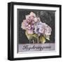 Flower Shop II-Patricia Pinto-Framed Art Print