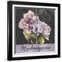 Flower Shop II-Patricia Pinto-Framed Art Print