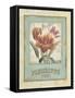 Flower Shop II-Lisa Audit-Framed Stretched Canvas
