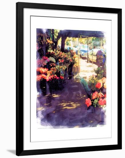 Flower Shop in a Shade-Nicolas Hugo-Framed Giclee Print