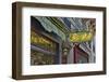 Flower shops neon sign streets of Paris.-Darrell Gulin-Framed Photographic Print