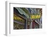 Flower shops neon sign streets of Paris.-Darrell Gulin-Framed Photographic Print