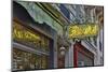 Flower shops neon sign streets of Paris.-Darrell Gulin-Mounted Photographic Print