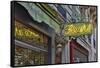 Flower shops neon sign streets of Paris.-Darrell Gulin-Framed Stretched Canvas