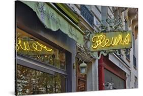 Flower shops neon sign streets of Paris.-Darrell Gulin-Stretched Canvas