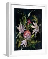 Flower Show I-Julia Purinton-Framed Art Print