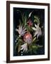 Flower Show I-Julia Purinton-Framed Art Print