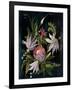 Flower Show I-Julia Purinton-Framed Art Print