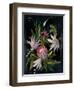 Flower Show I-Julia Purinton-Framed Art Print