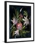 Flower Show I-Julia Purinton-Framed Art Print