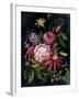 Flower Show II-Julia Purinton-Framed Art Print