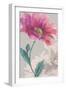 Flower Sketch 3-Marietta Cohen Art and Design-Framed Giclee Print