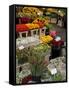 Flower Stall, Bloemenmarkt, Amsterdam, Holland, Europe-Frank Fell-Framed Stretched Canvas