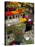 Flower Stall, Bloemenmarkt, Amsterdam, Holland, Europe-Frank Fell-Stretched Canvas