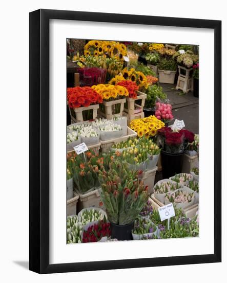 Flower Stall, Bloemenmarkt, Amsterdam, Holland, Europe-Frank Fell-Framed Photographic Print