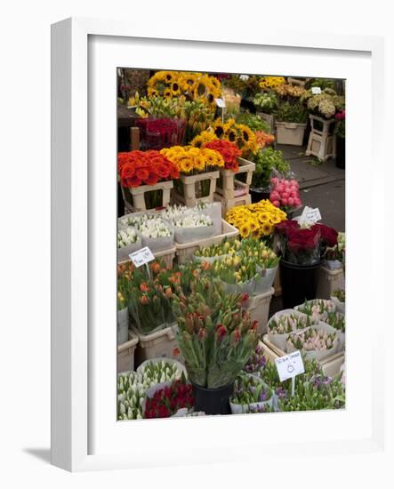 Flower Stall, Bloemenmarkt, Amsterdam, Holland, Europe-Frank Fell-Framed Photographic Print