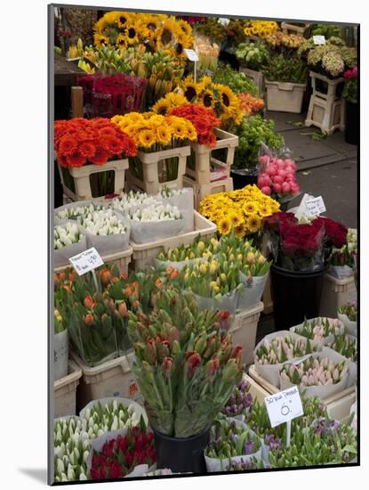 Flower Stall, Bloemenmarkt, Amsterdam, Holland, Europe-Frank Fell-Mounted Photographic Print