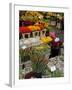 Flower Stall, Bloemenmarkt, Amsterdam, Holland, Europe-Frank Fell-Framed Photographic Print