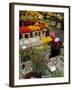 Flower Stall, Bloemenmarkt, Amsterdam, Holland, Europe-Frank Fell-Framed Photographic Print