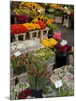 Flower Stall, Bloemenmarkt, Amsterdam, Holland, Europe-Frank Fell-Mounted Photographic Print
