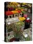 Flower Stall, Bloemenmarkt, Amsterdam, Holland, Europe-Frank Fell-Stretched Canvas