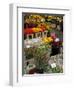 Flower Stall, Bloemenmarkt, Amsterdam, Holland, Europe-Frank Fell-Framed Photographic Print