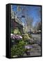 Flower Stall on Las Ramblas, Barcelona, Catalunya, Spain, Europe-James Emmerson-Framed Stretched Canvas