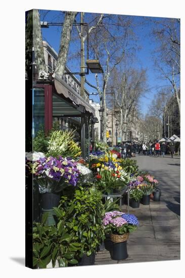 Flower Stall on Las Ramblas, Barcelona, Catalunya, Spain, Europe-James Emmerson-Stretched Canvas