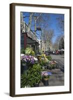 Flower Stall on Las Ramblas, Barcelona, Catalunya, Spain, Europe-James Emmerson-Framed Photographic Print