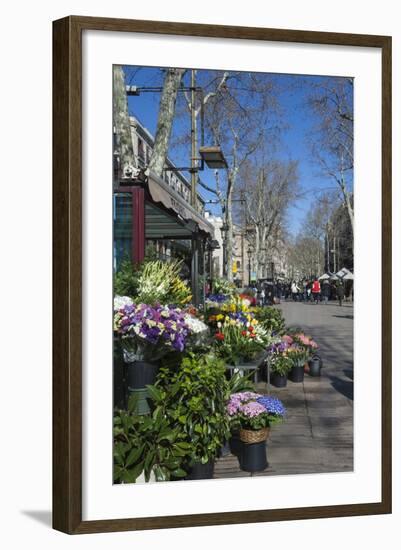 Flower Stall on Las Ramblas, Barcelona, Catalunya, Spain, Europe-James Emmerson-Framed Photographic Print