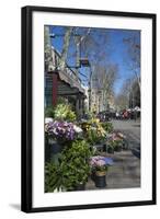 Flower Stall on Las Ramblas, Barcelona, Catalunya, Spain, Europe-James Emmerson-Framed Photographic Print