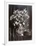 Flower Still Life, 1870-null-Framed Photographic Print