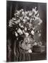 Flower Still Life, 1870-null-Mounted Photographic Print