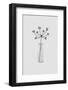 Flower Still Life I-Orara Studio-Framed Photographic Print