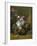 Flower Still Life-Rachel Ruysch-Framed Giclee Print