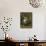 Flower Still Life-Rachel Ruysch-Mounted Giclee Print displayed on a wall