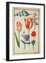 Flower Studies-Nicolas Robert-Framed Giclee Print