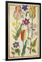 Flower Studies-Nicolas Robert-Framed Giclee Print