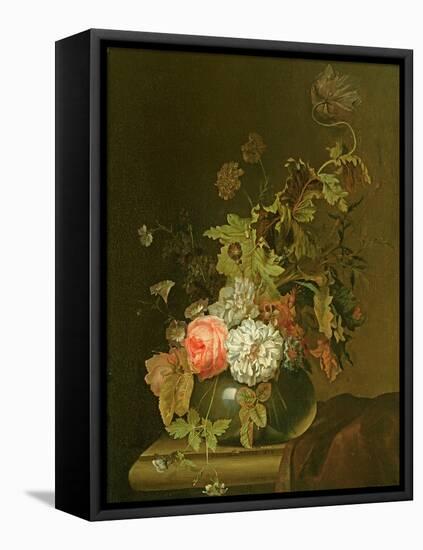 Flower Study-Herman van der Myn-Framed Stretched Canvas