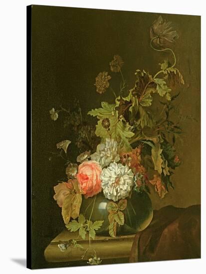 Flower Study-Herman van der Myn-Stretched Canvas