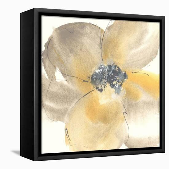 Flower Tones II-Chris Paschke-Framed Stretched Canvas