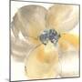 Flower Tones II-Chris Paschke-Mounted Art Print
