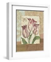 Flower Trio I-Pamela Gladding-Framed Art Print