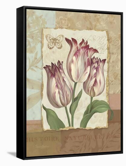 Flower Trio I-Pamela Gladding-Framed Stretched Canvas