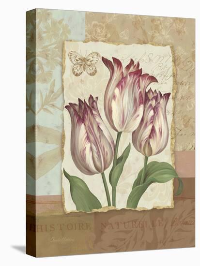 Flower Trio I-Pamela Gladding-Stretched Canvas