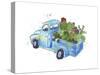 Flower Truck I-Catherine McGuire-Stretched Canvas